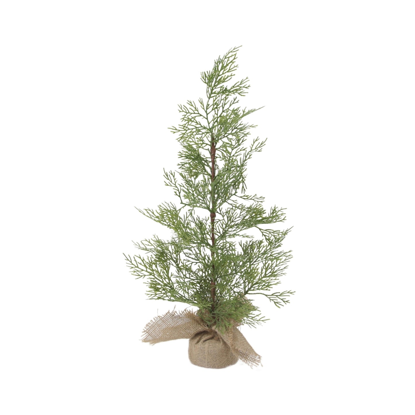 25FXQ697T-24 - 24 inch Lighted Cedar Tree