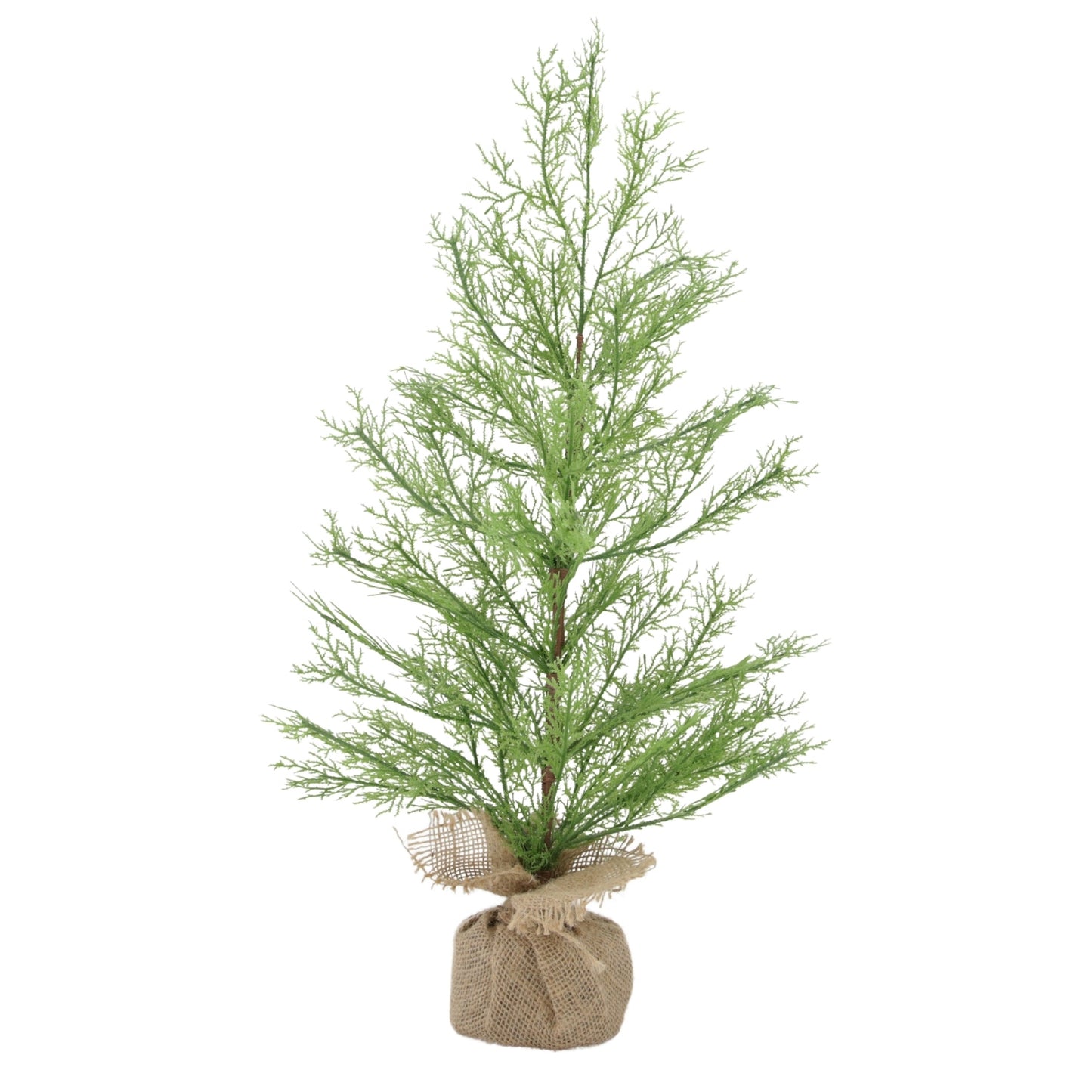 25FXQ698-T - 24 inch Light Green Lighted Cedar Tree