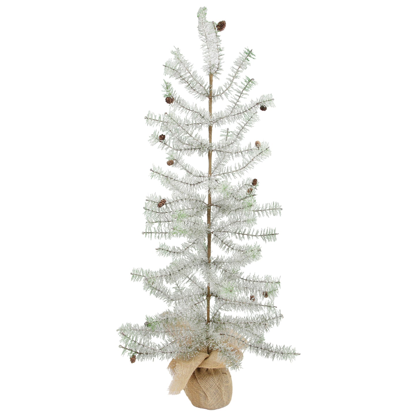 25FXQ705T-L - Light Green Large Bottlebrush Tree