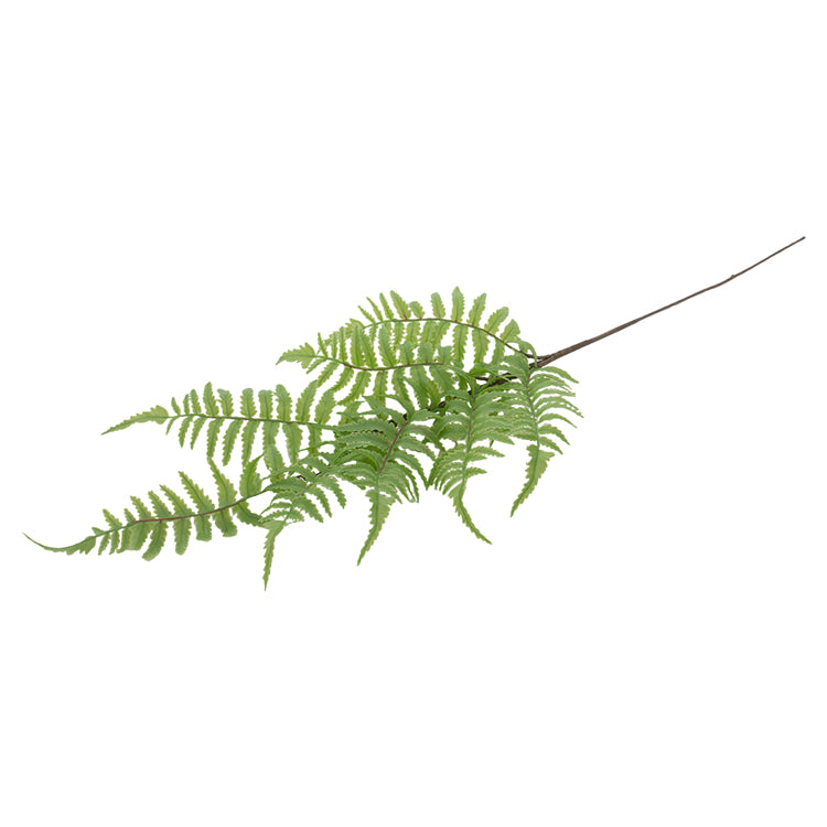 FAD11176B-28 - Light Green Fern Pick