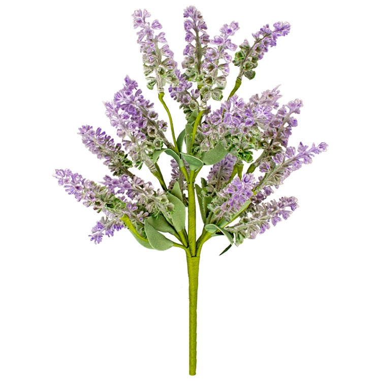 FAQ24611 - Lavender Pick