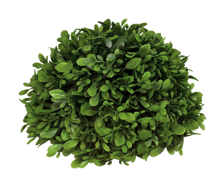 FAQ24624 - Boxwood Ball