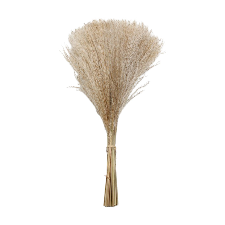 FAQ34226B - Natural Whisk Grass Bunch