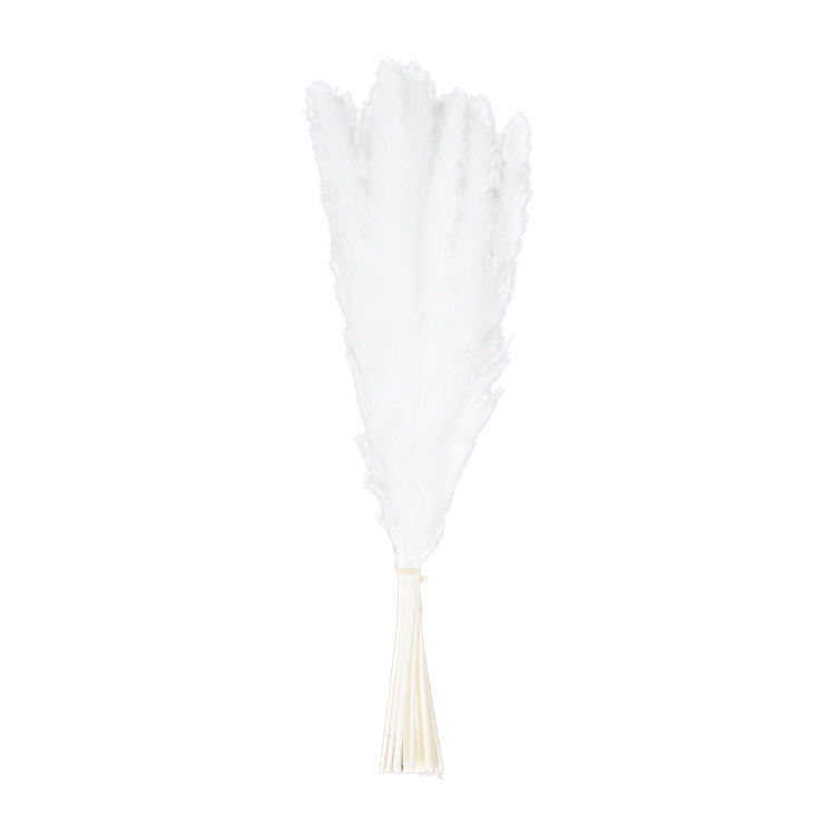 FAQ34227B - White Feather Reed Bunch