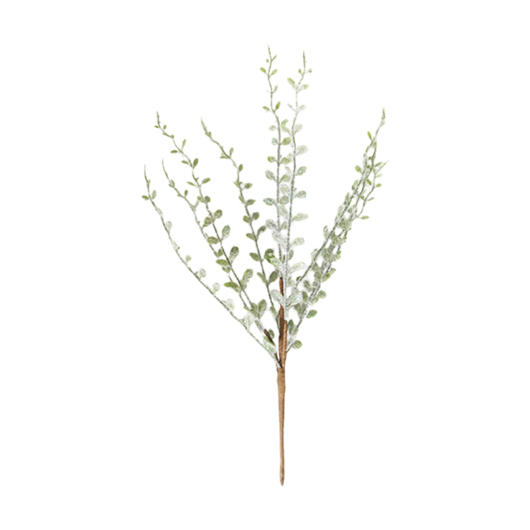 FAQ34784B - Cidergum Bush