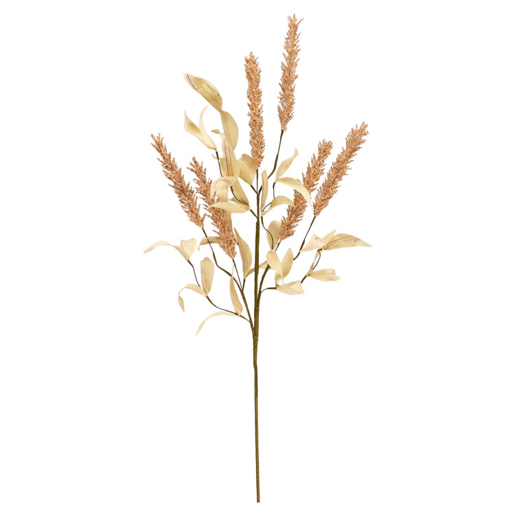 FAQ34795B-32 - Sorghum Pick