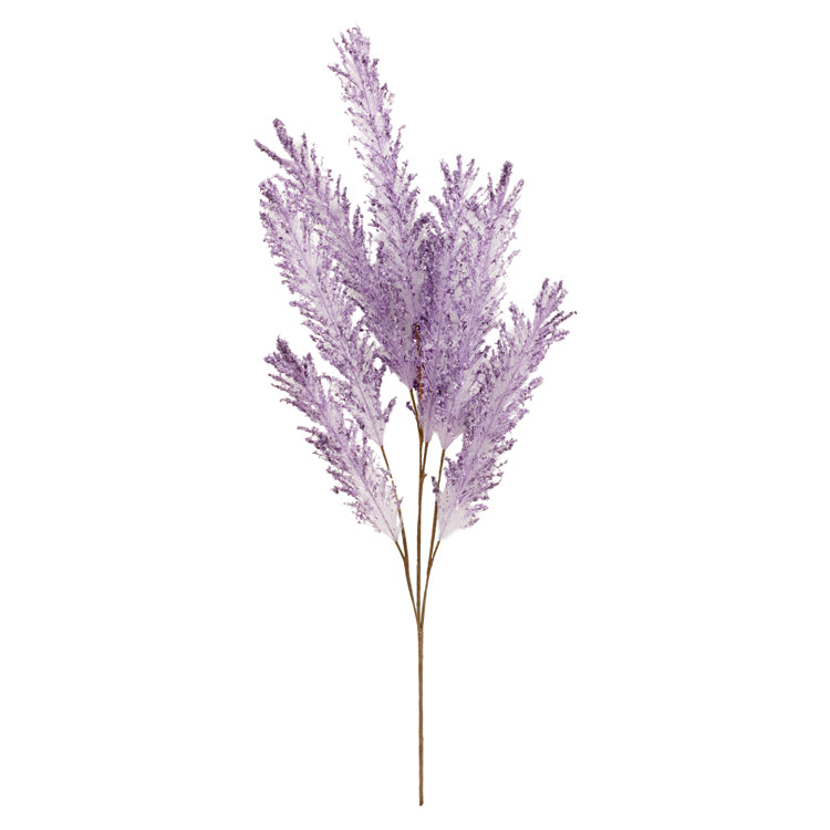 FAQ34812B - Purple Bentgrass Pick