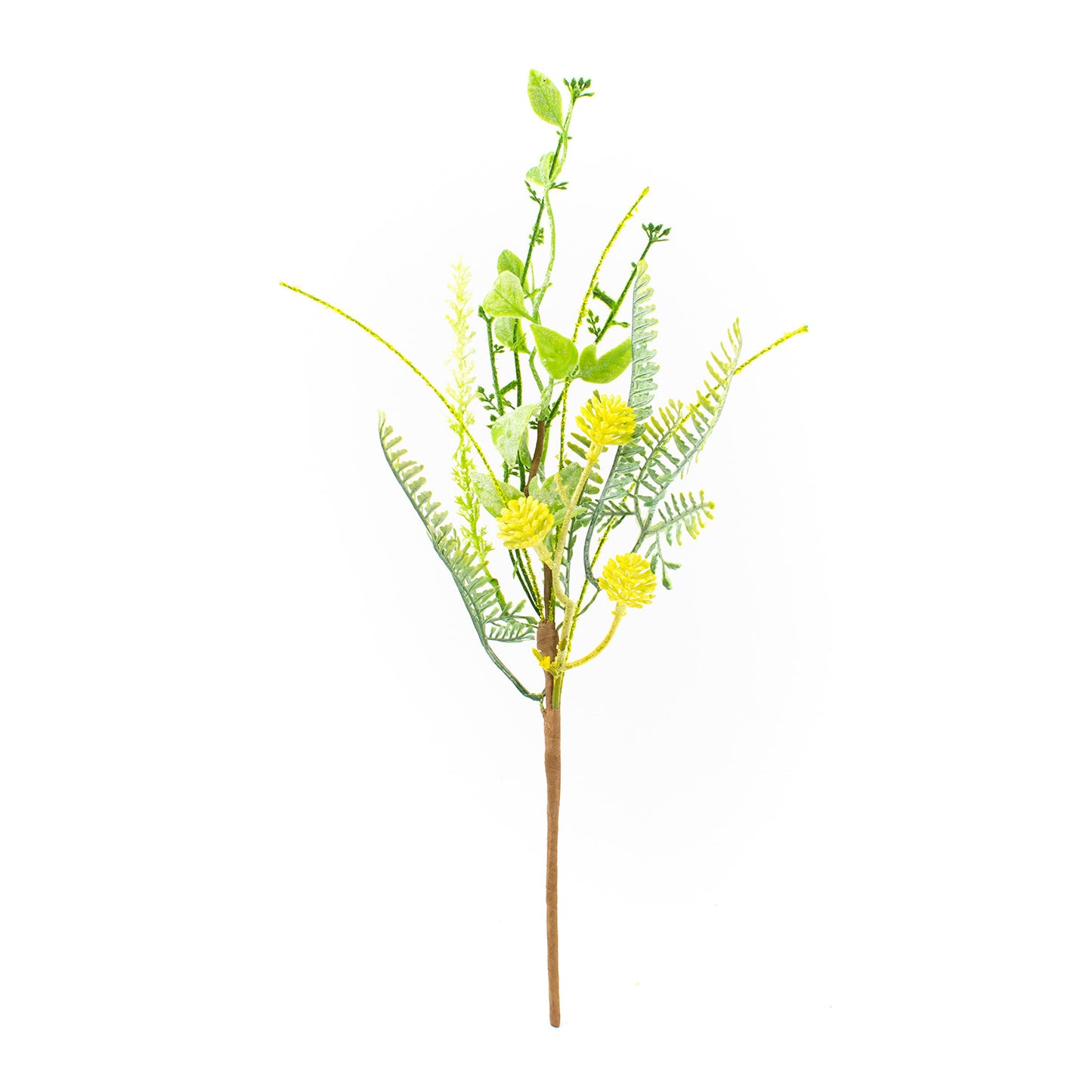 FAQ41700B - Yellow Wattle Pick