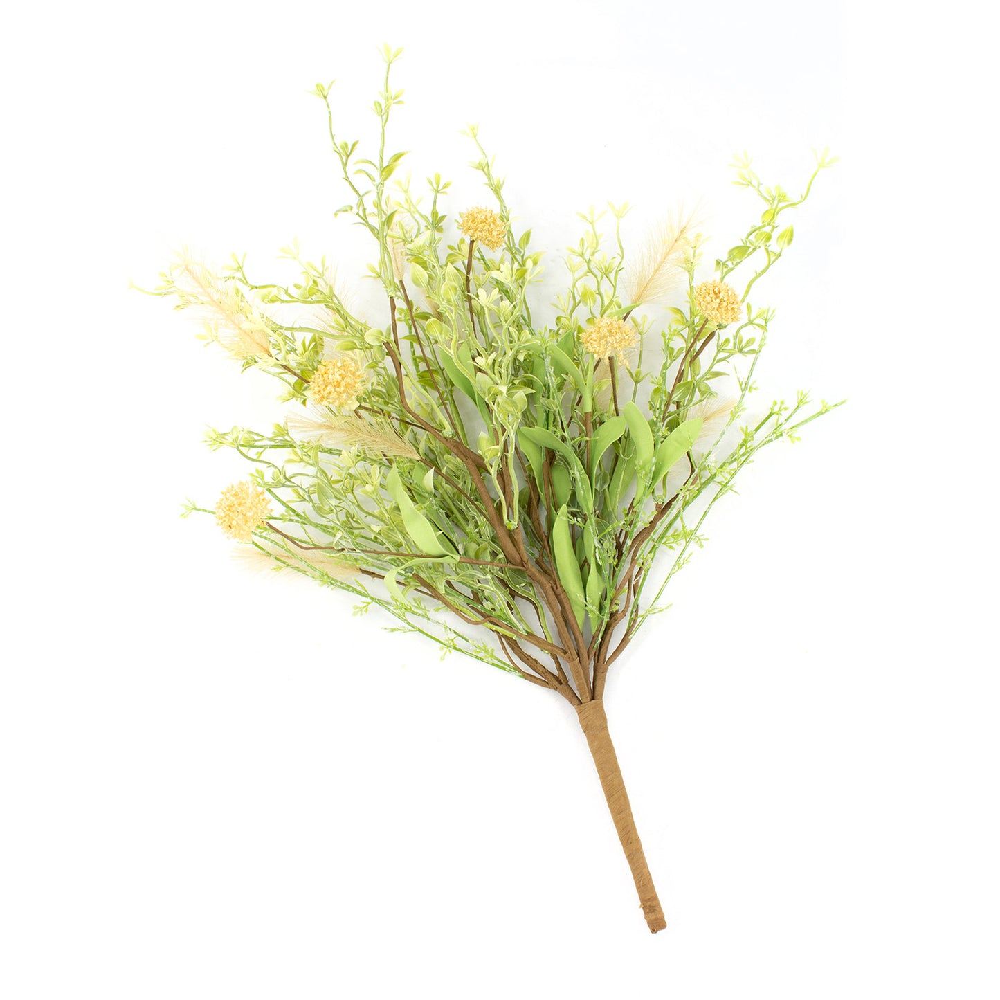 FAQ41748B - Foxtail Barley Pick