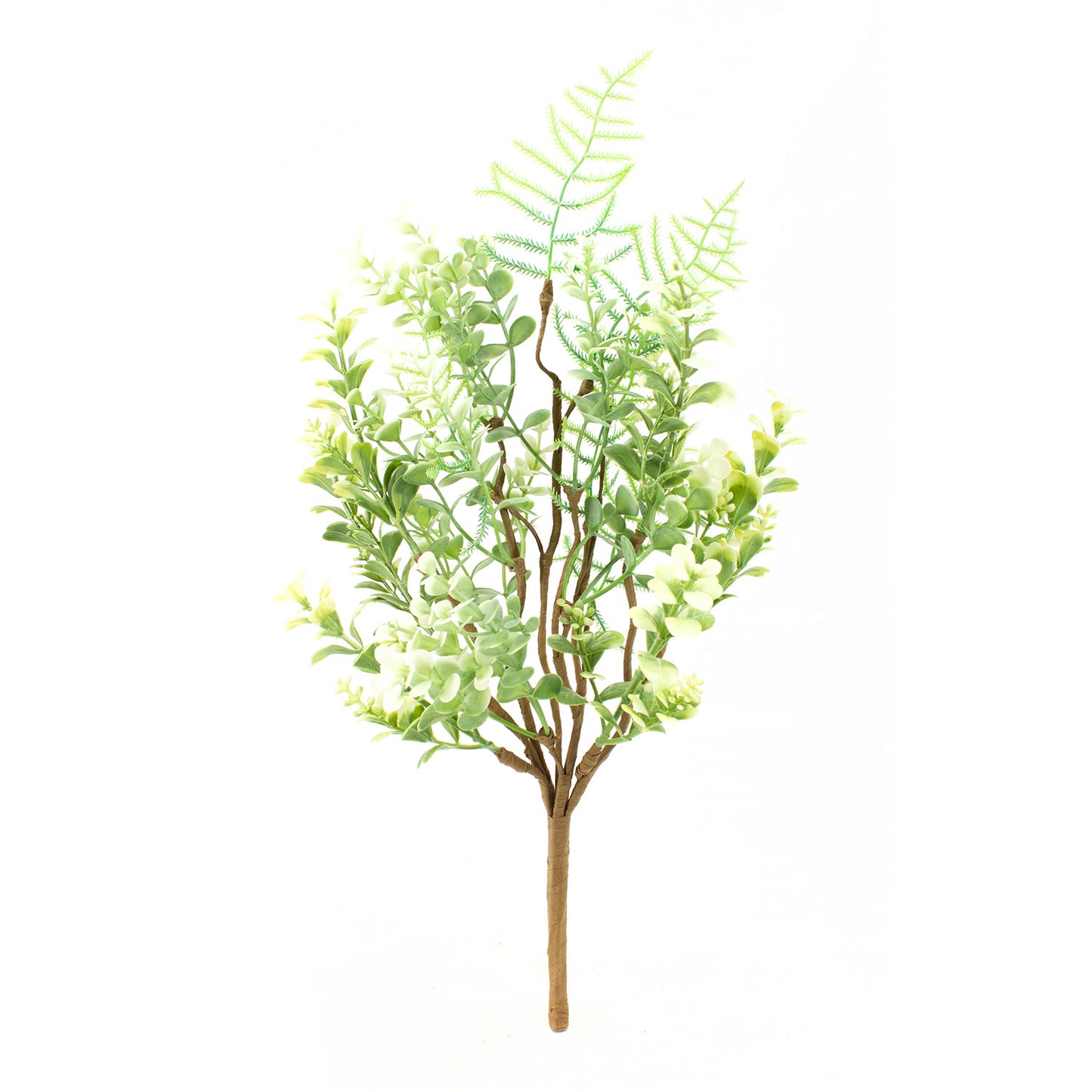 FAQ41752B - Fern and Succulent Pick