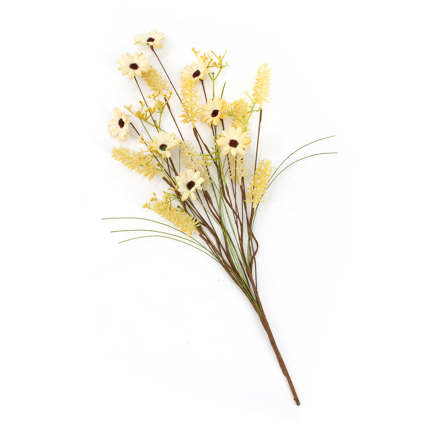FAQ41763B - Tan Daisy Pick