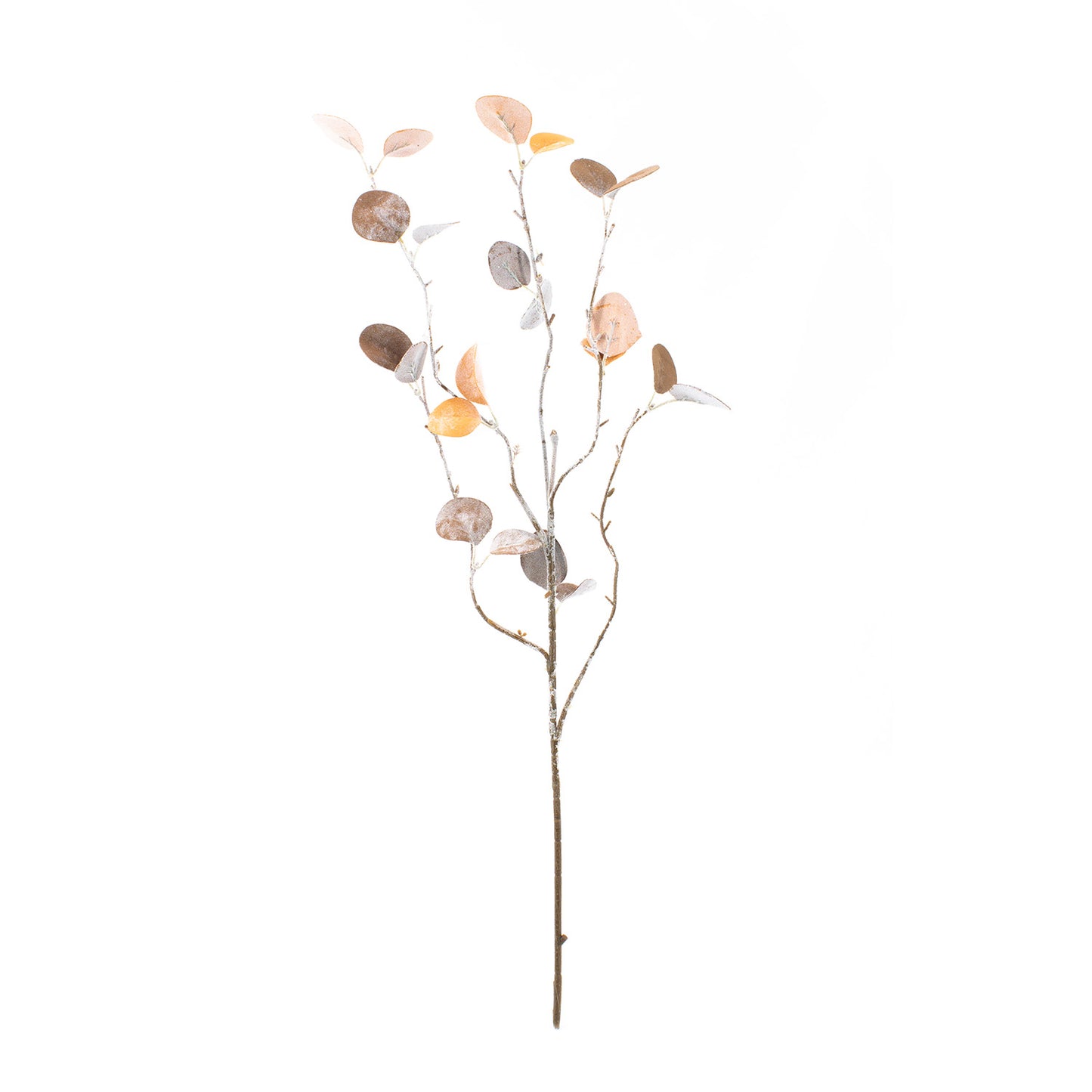 FAQ41770B - Brown and Orange Eucalyptus Pick