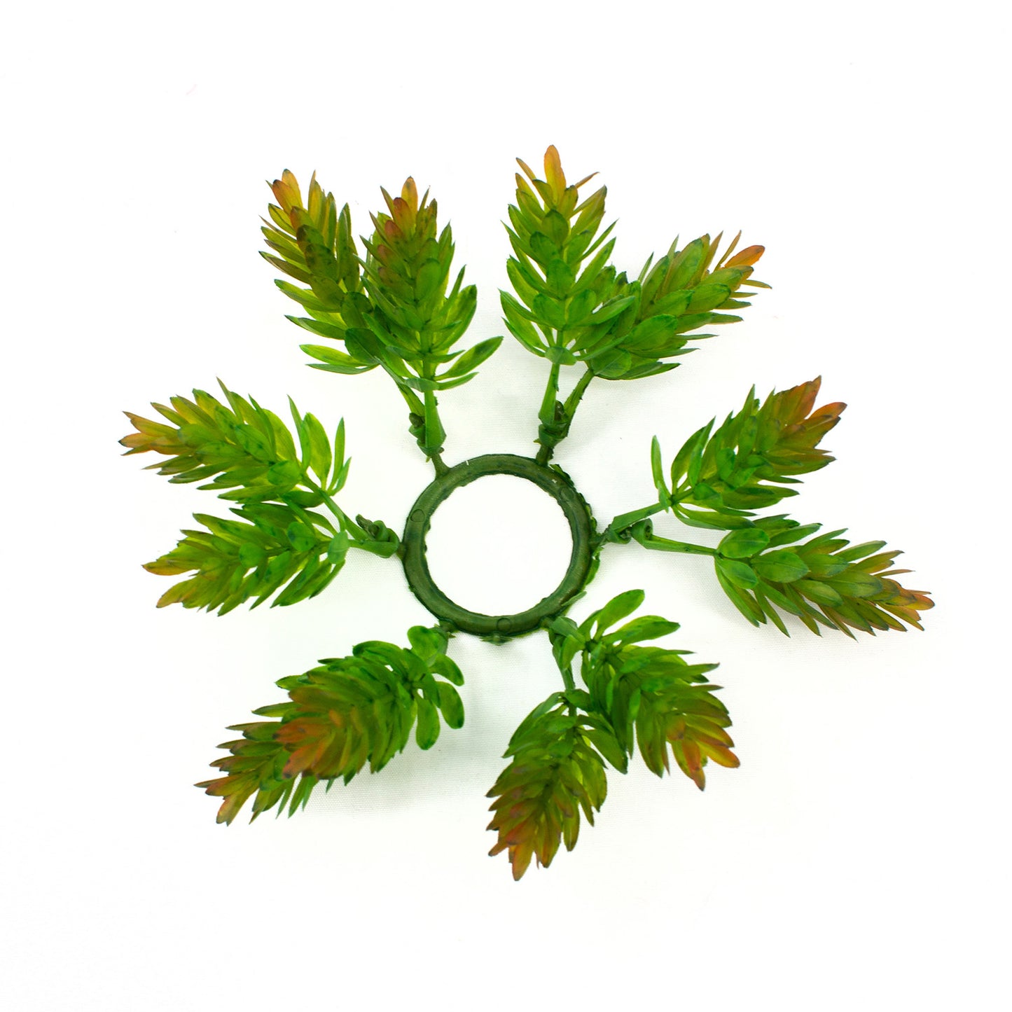 FAQ41774CSS - Green Hops Mini Ring