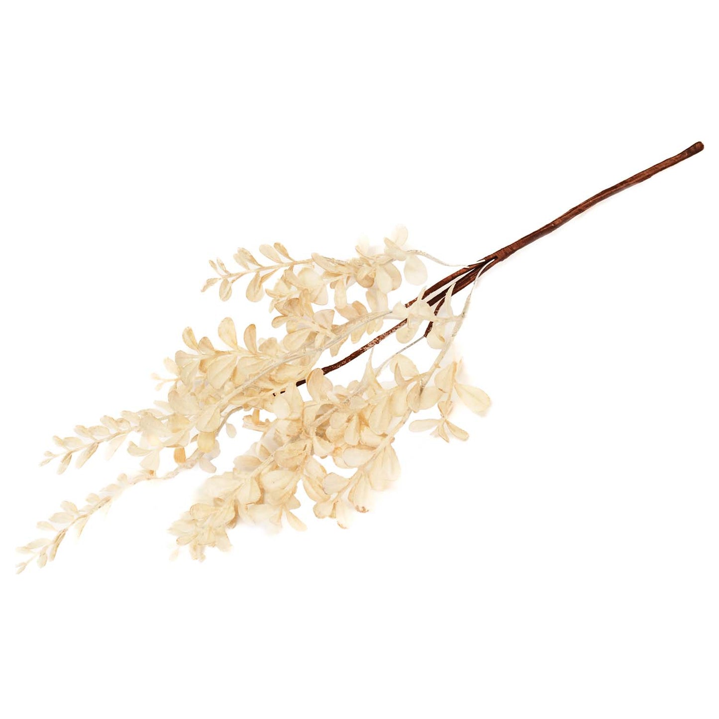 FAQ57794B - Tan Leaf Stem Pick