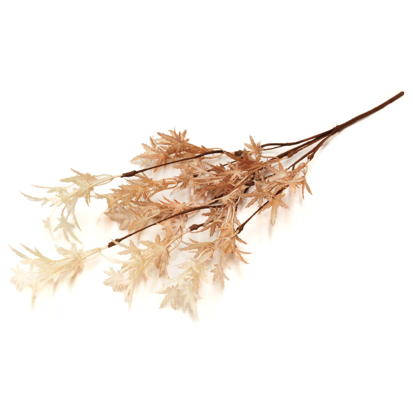 FAQ57796B - Japanese Maple Pick