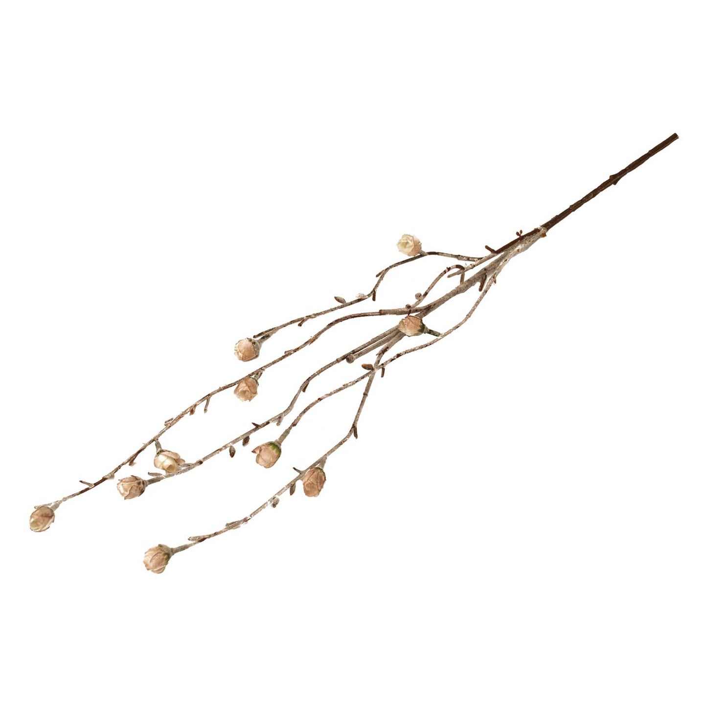 FAQ57799B - Flower Bud Pick