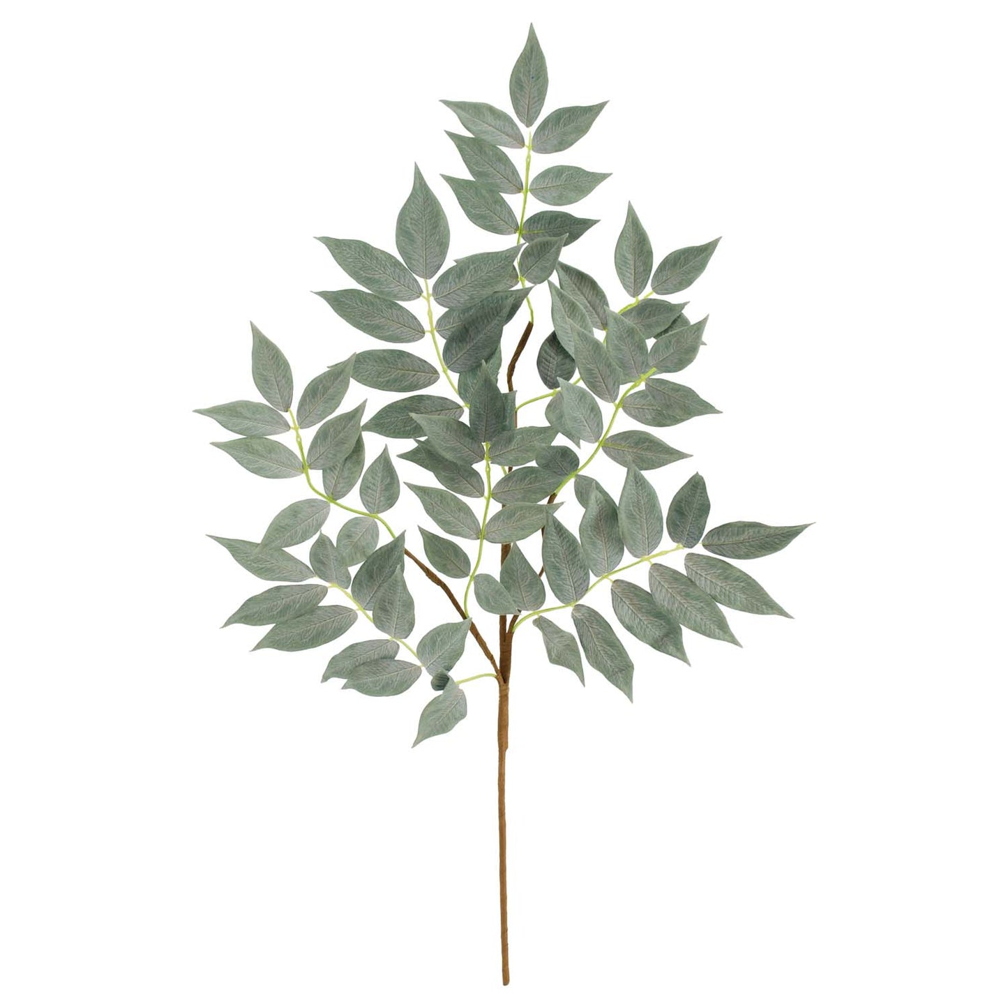 FAQ57826B - Dark Green Wisteria Leaf Pick