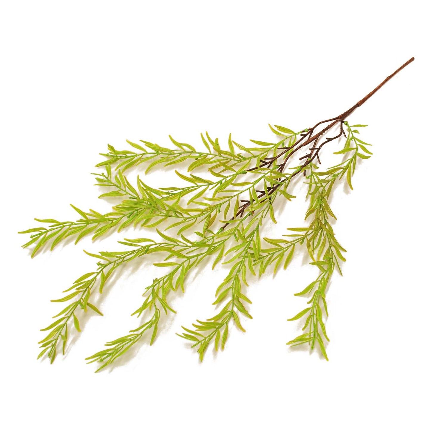 FAQ57853B - Little Leaf Stem