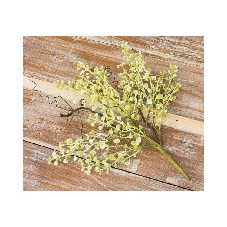 FAQ94659B - Lemongrass Pick