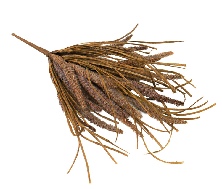 FFD25196B - Fingergrass Bunch