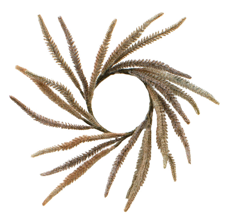 FFD25197CL - Fingergrass Candle Ring
