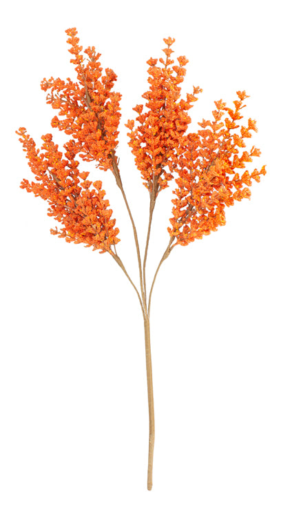 FFQ25689B-18 - Orange Sallowthorn Pick