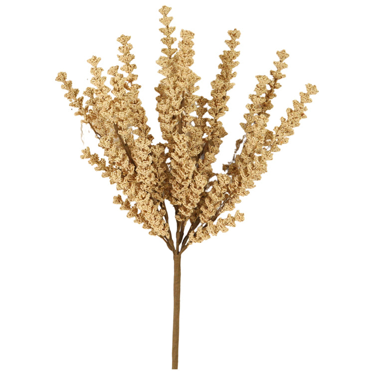 FFQ38750B - Tan Walking Fern Pick