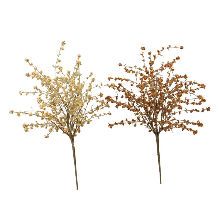 FFQ38821-2A - 2 Assorted Hairy Pinweed Picks
