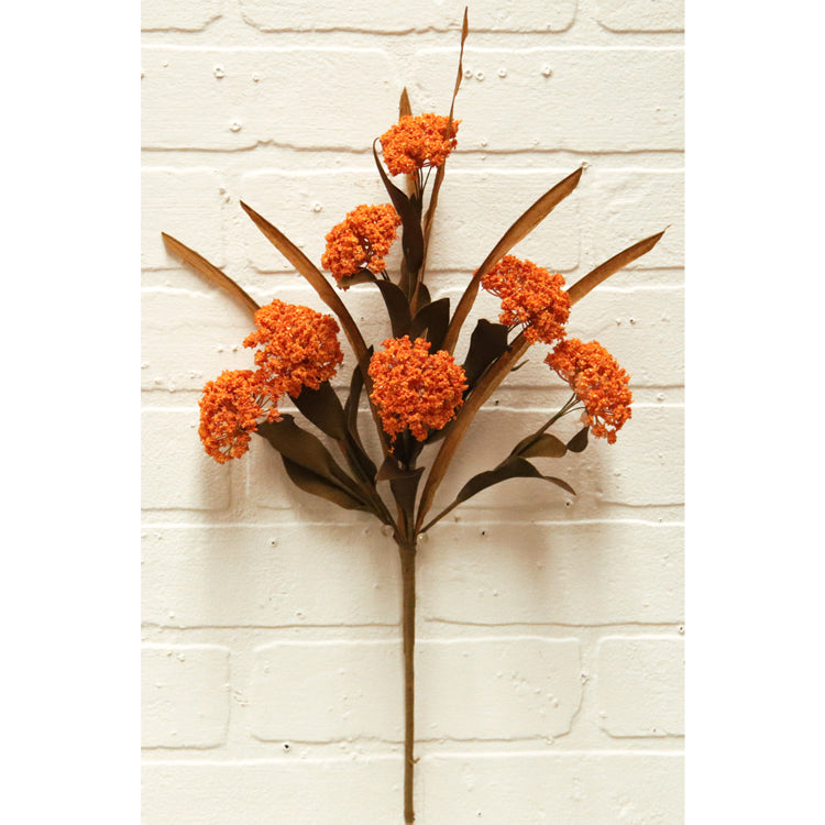 FFQ38822B - Butterfly Milkweed Pick