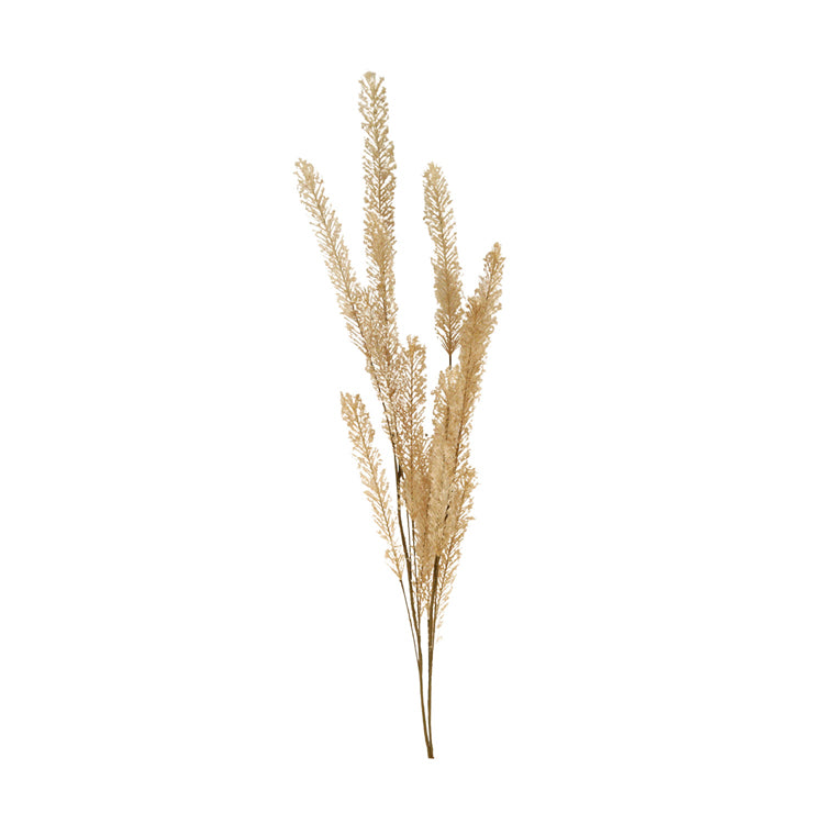 FFQ38836B - Tan Yarrow Pick