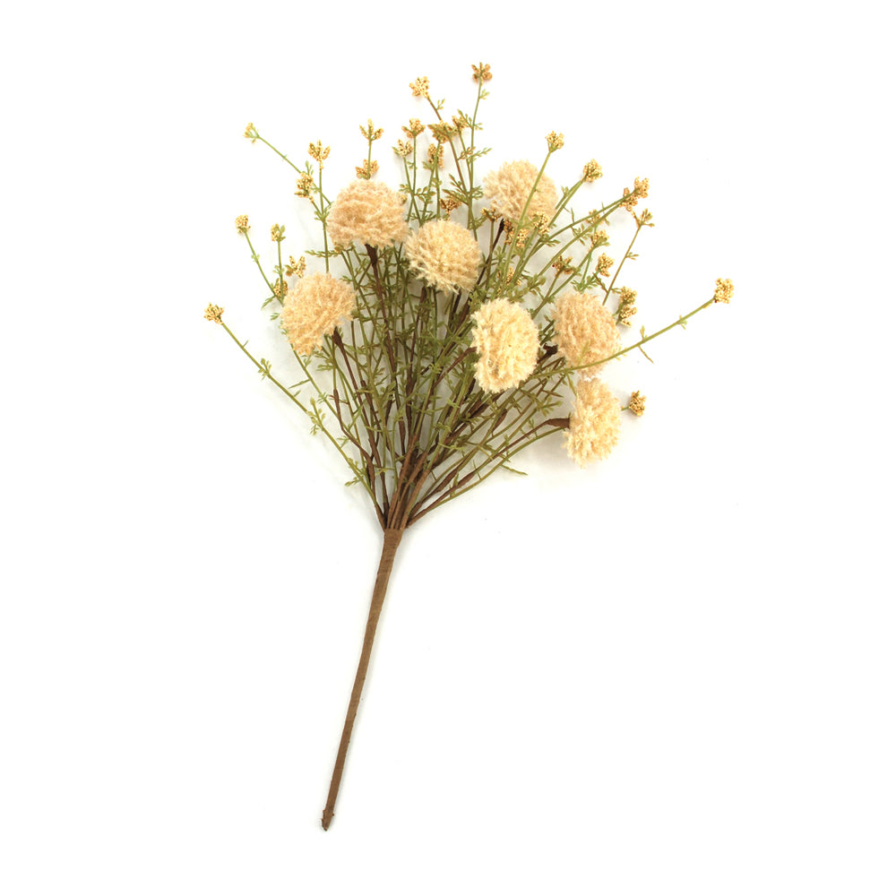 FFQ42737B - Chickweed Pick