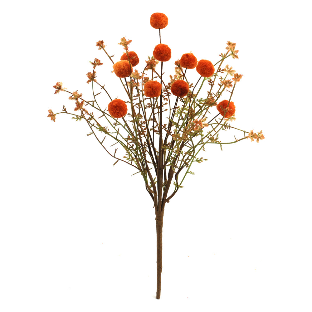 FFQ42741B - Orange Globe Chamomile Pick