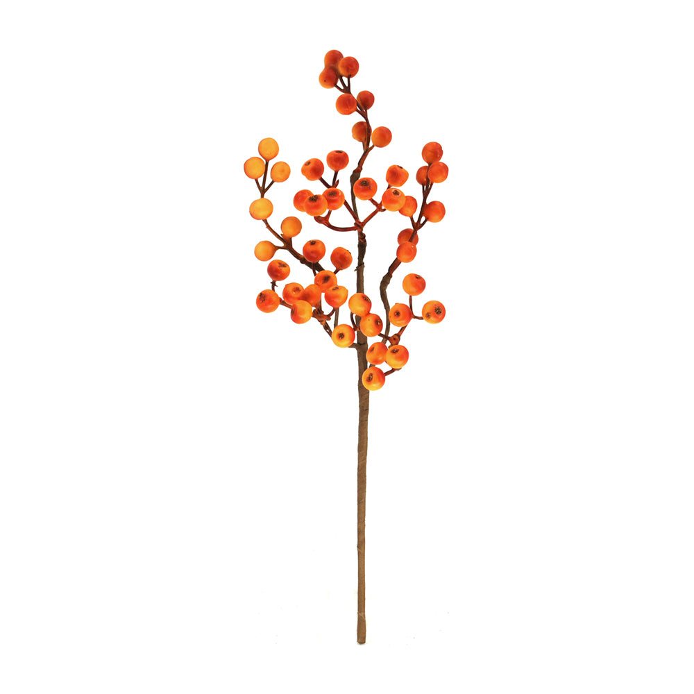FFQ42852B-15 - Orange Berry Pick