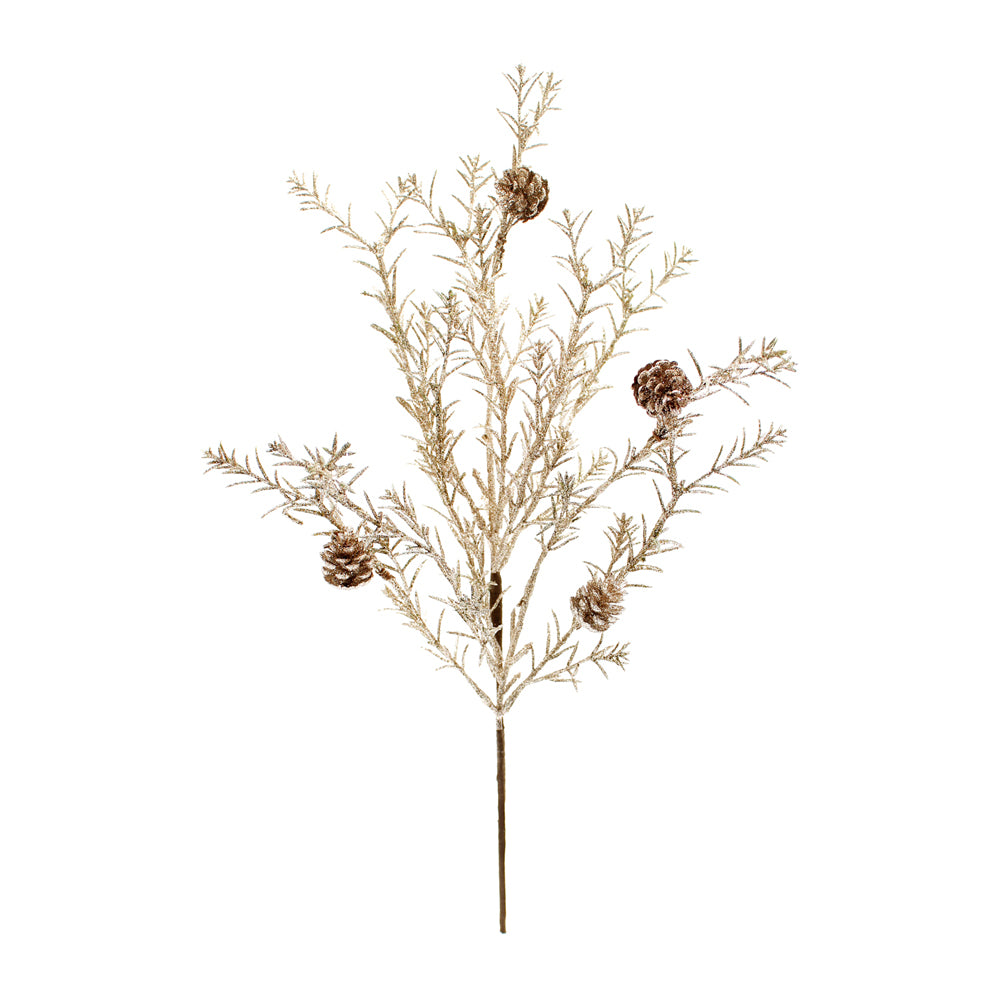 FXD43266B - Golden Pick