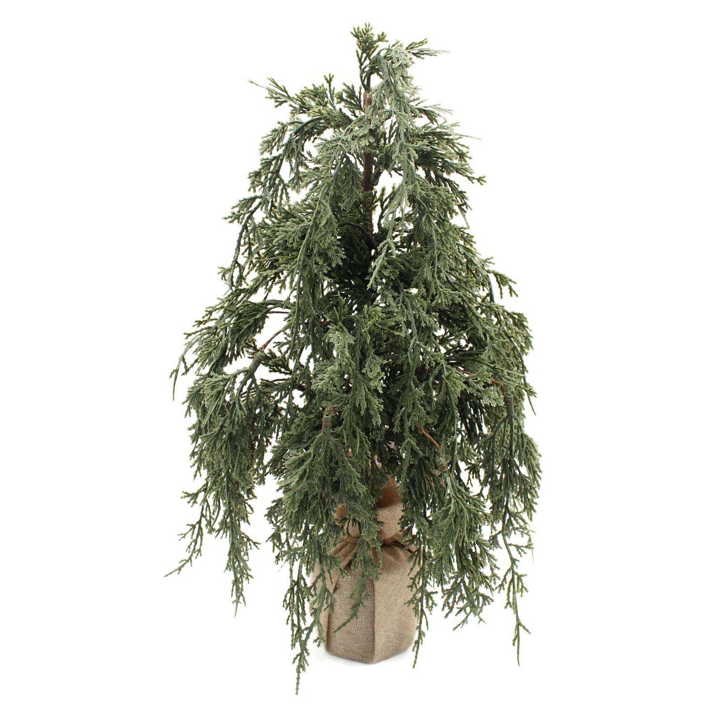 FXD59339T-18 - Dark Green Juniper 18 inch Tree