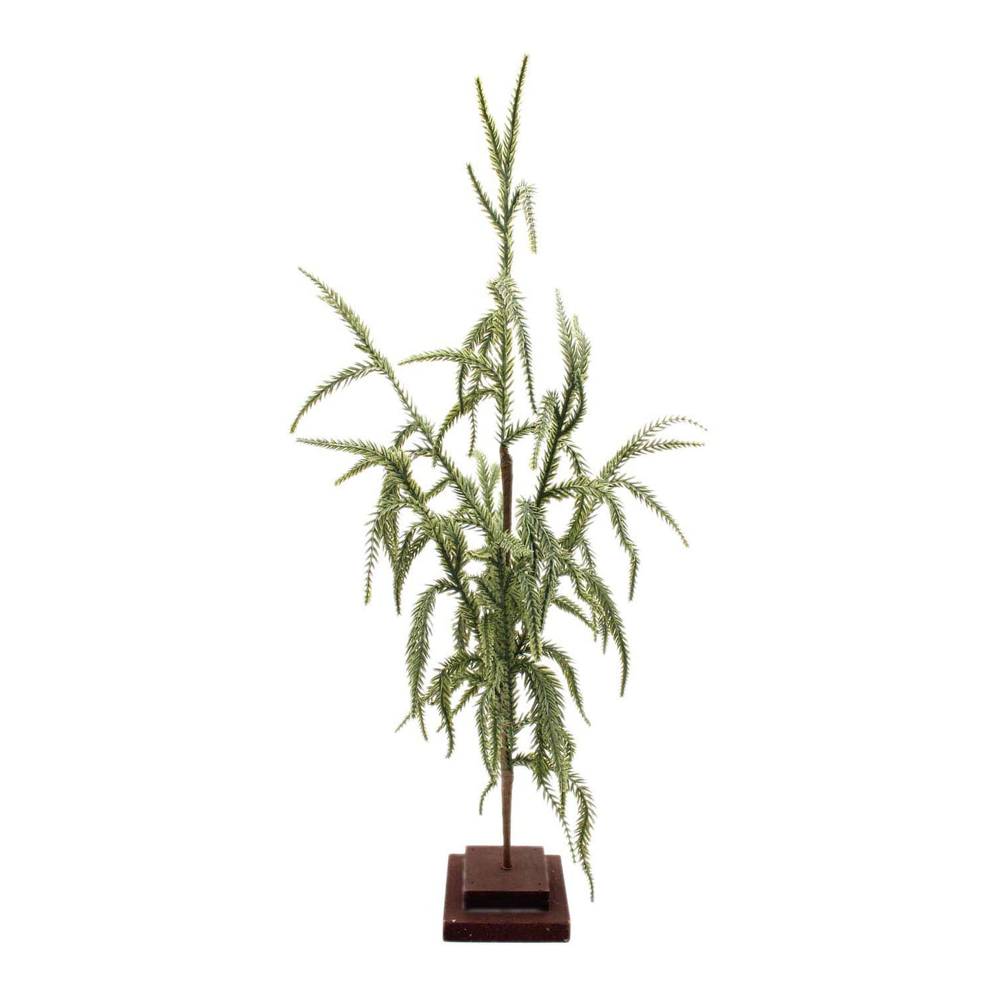FXD59350-T - Droopy Pine Tree