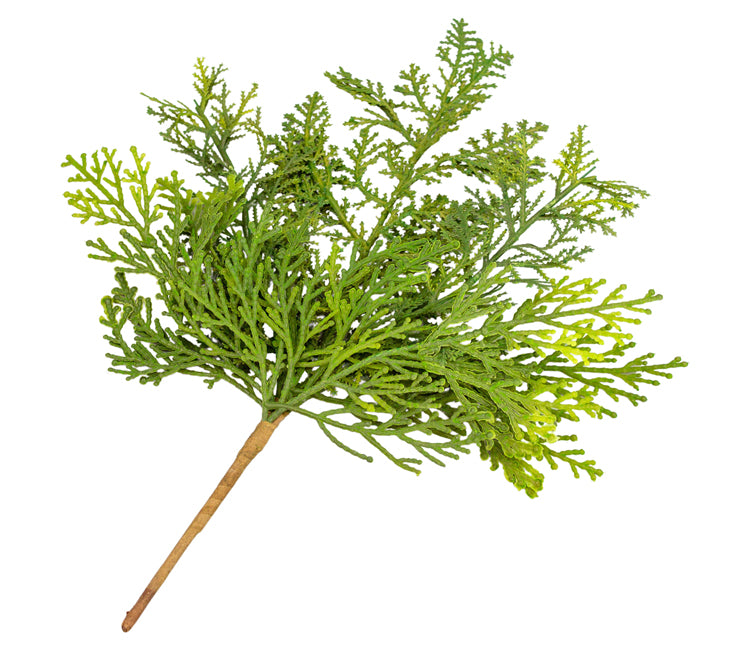 FXQ26712B-13 - Mountain Juniper Pick