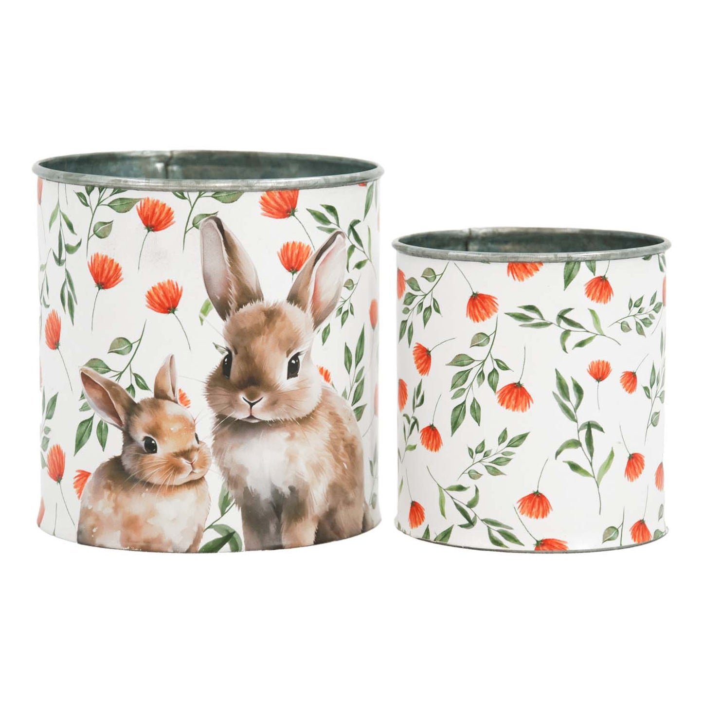 MAF57787-2S - Set of 2 Carrot Top Buckets