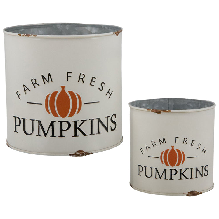 MFF38097-2S - Set of 2 Farm Fresh Pumpkins Buckets