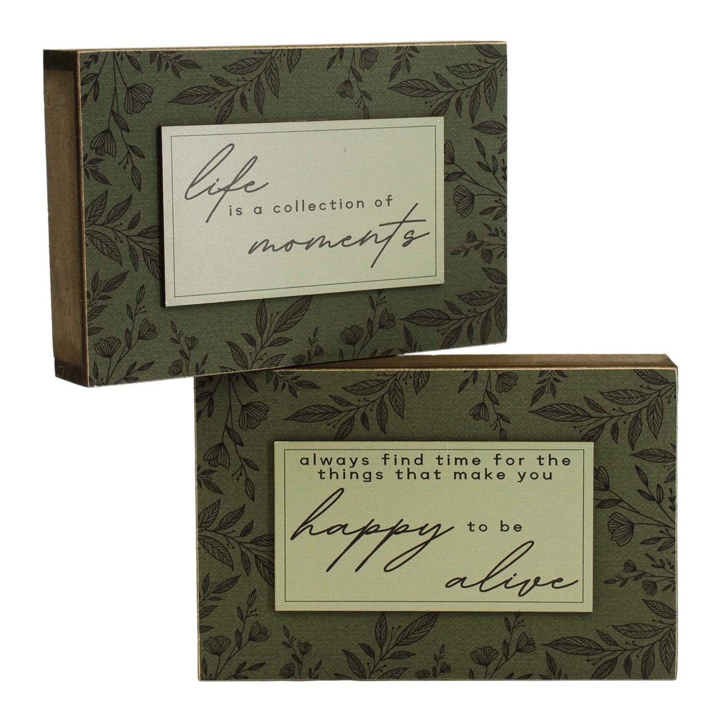 WAF57776-2A - 2 Assorted Happy and Moments Green Block Signs