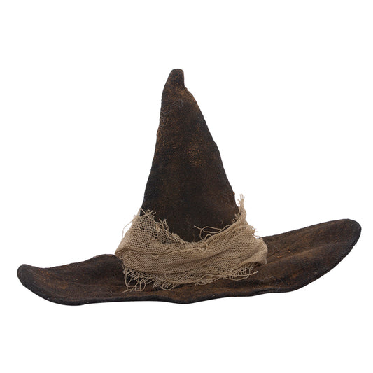DFQ08296 - Witch Hat 