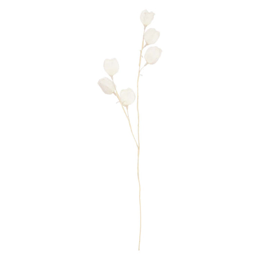 FAQ34819B - Lillyleaf Stem Pick 
