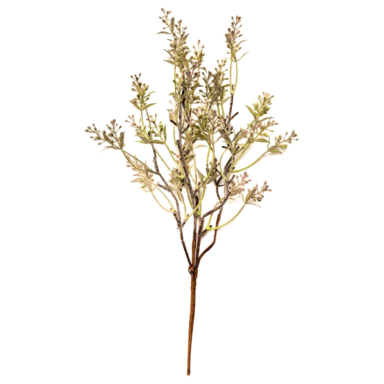 FAQ57612-B - Groundsel Pick