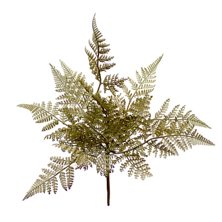 FAQ94608B - Wood Fern Pick 
