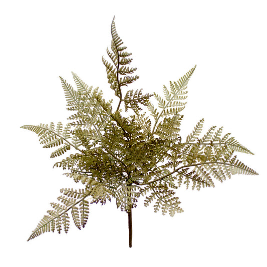 FAQ94608B - Wood Fern Pick 