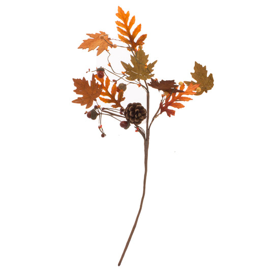 FFQ13675B-24 - Maple and Oak Pick 