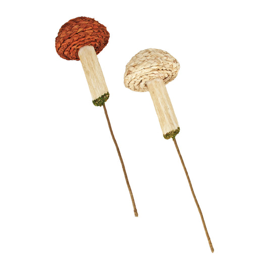 FFQ42836-2A - 2 Assorted Natural and Orange Rope Mushroom Stakes