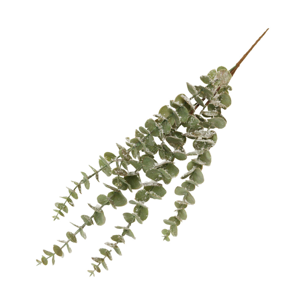 FXQ43879B - Dark Green Eucalyptus Pick