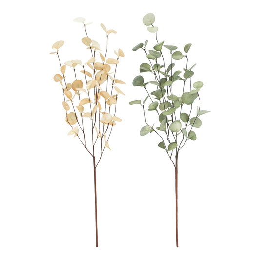 FXQ43892B-2A - 2 Assorted Green and Yellow Eucalyptus Picks