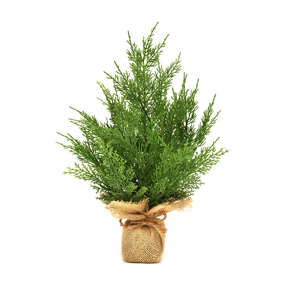 FXQ43964T-18 - 18 inch Cedar Tree in Pot